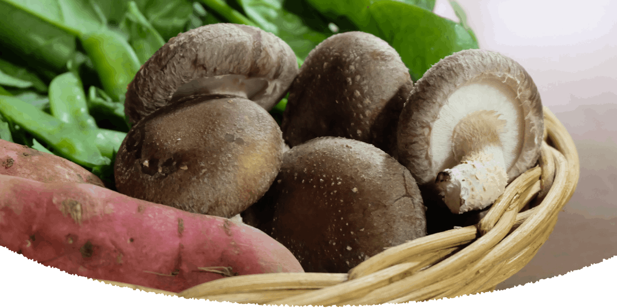 日替わりランチ